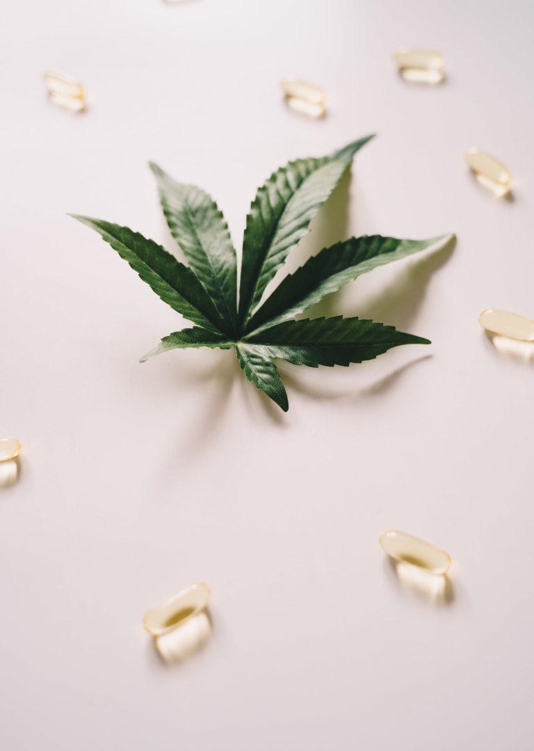 Die Geschichte der CBD-Kapseln