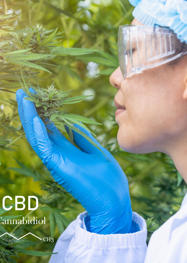 Ist CBD in Deutschland legal? Checken Sin die Information