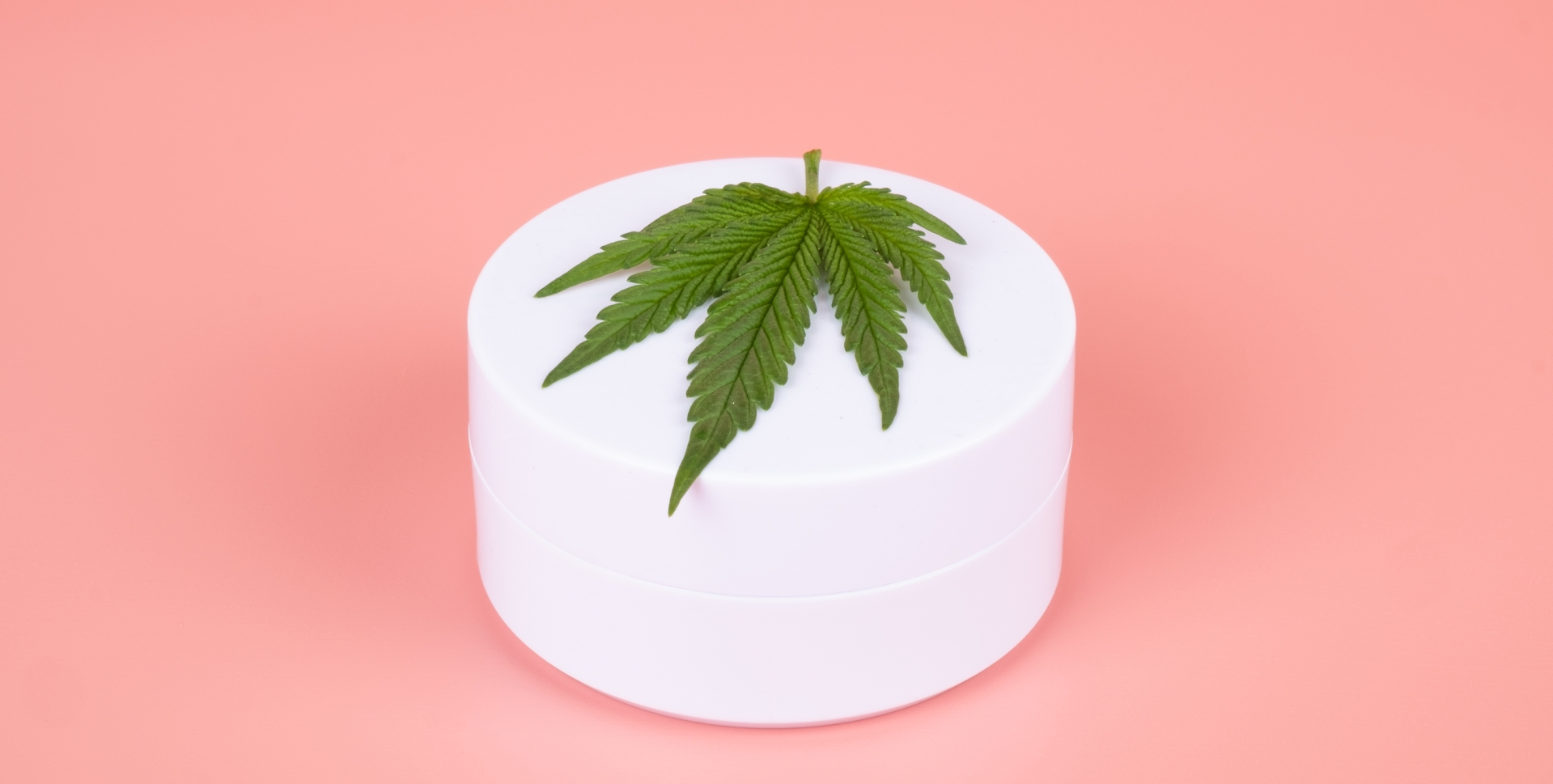  Die Evolution der CBD-Creme und ihre Auswirkungen auf die CBD-Branche image